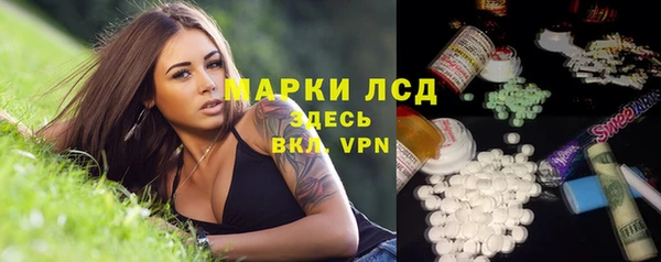 прущие грибы Липки