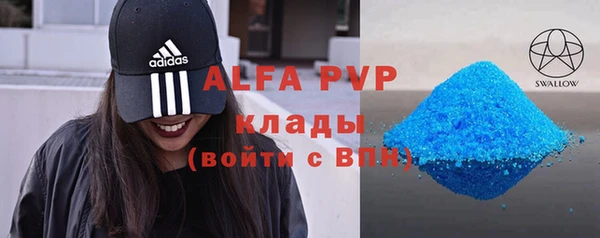 прущие грибы Липки
