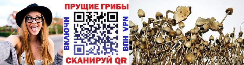 Галлюциногенные грибы Magic Shrooms  Купить  Люберцы 